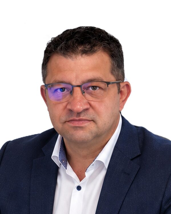 ing. dipl. ec. Grațian-Florin Galiș, Auditor financiar, auditor intern