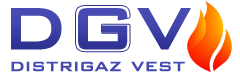 Sigla Distrigaz Vest SA, client Audit Galis pentru audit statutar și dosarul prețurilor de transfer